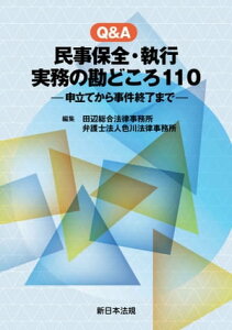 Q＆A　民事保全・執行　実務の勘どころ110ー申立てから事件終了までー【電子書籍】[ 田辺総合法律事務所 ]