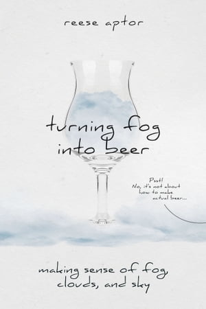 Turning Fog Into Beer: Making Sense Of Fog, Clou