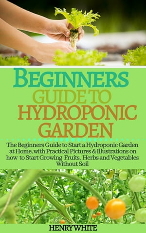 BEGINNERS GUIDE TO HYDROPONIC GARDEN