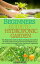 ŷKoboŻҽҥȥ㤨BEGINNERS GUIDE TO HYDROPONIC GARDEN The Beginners Guide to Start a Hydroponic Garden at Home, with Practical Pictures & Illustrations on how to Start Growing Fruits, Herbs and Vegetables Without SoilŻҽҡ[ HENRY WHITE ]פβǤʤ601ߤˤʤޤ