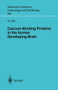 Calcium-Binding Proteins in the Human Developing Brain【電子書籍】 N. Ulfig