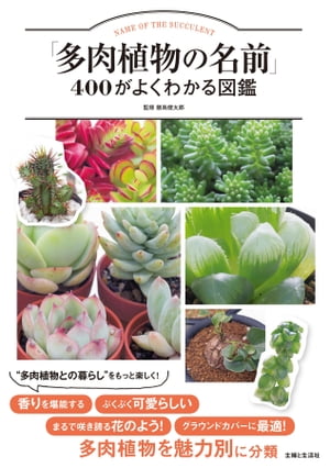 「多肉植物の名前」400がよくわかる図鑑【電子書籍】[ 飯島健太郎 ]