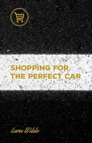 Shopping for the Perfect Car