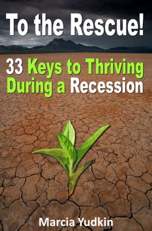 To the Rescue! 33 Keys to Thriving During a Recession