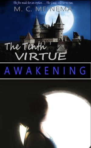 The Tenth Virtue: AwakeningŻҽҡ[ M. C. Meinema ]