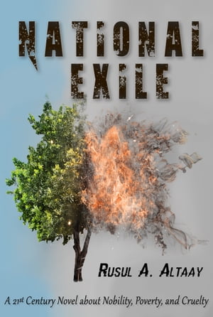 National Exile: A 21st Century Novel about Nobility, Poverty, and Cruelty
