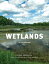 Wetlands