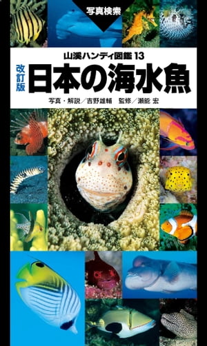 山溪ハンディ図鑑 改訂版 日本の海水魚【電子書籍】 吉野 雄輔