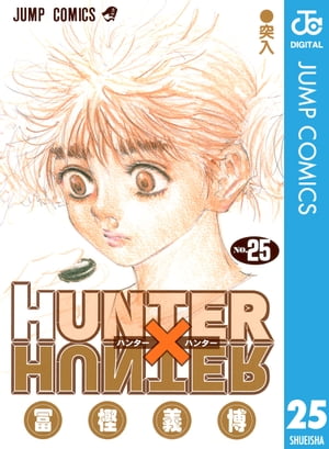 HUNTER×HUNTER モノクロ版 25【電子書籍】 冨樫義博