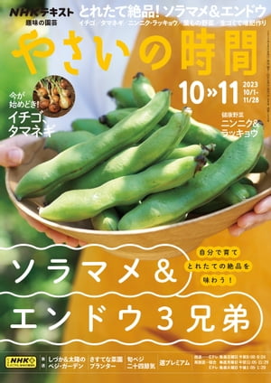 ＮＨＫ 趣味の園芸 やさいの時間 2023年10月・11月号［雑誌］