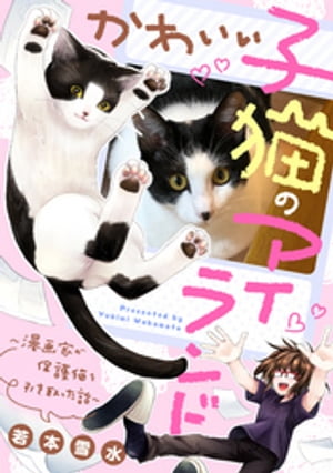 かわいい子猫のアイランド　〜漫画家が保護猫を引き取った話〜