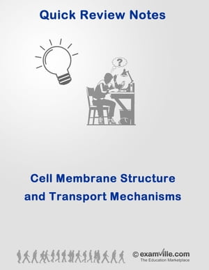 Cell Membrane Structure & Transport Mechanisms - Quick Review & Outline