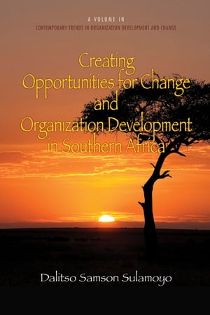 Creating Opportunities for Change and Organization Development in Southern Africa