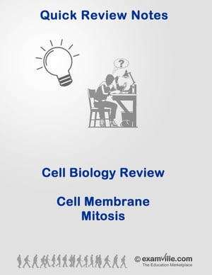 Cell Membrane and Mitosis - Quick Review & Outline