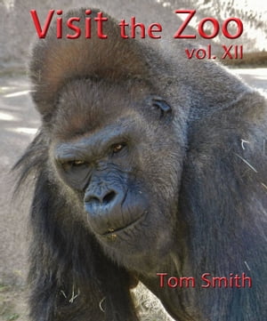 Visit the Zoo, vol. XII