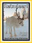 Just Reindeer Photos! Big Book of Photographs & Pictures of Santa Claus Christmas Reindeer, Vol. 1