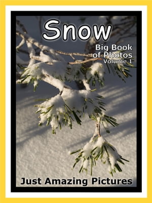 Just Snow Photos! Big Book of Photographs & Pictures of Winter Snow, Vol. 1