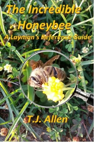 The Incredible Honeybee: A Layman's Reference GuideŻҽҡ[ T.J. Allen ]