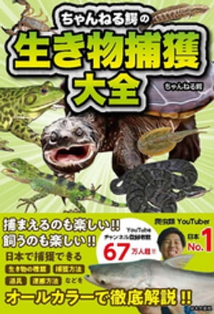 ちゃんねる鰐
