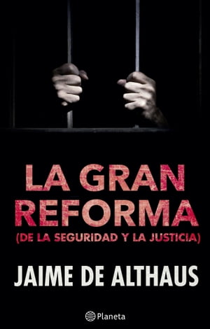 La gran reforma (de la seguridad y la justicia)