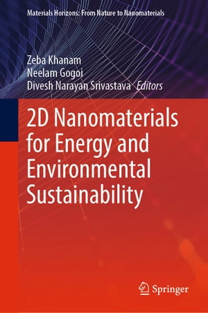 2D Nanomaterials for Energy and Environmental Sustainability