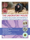 The Laboratory Mouse A Guide to the Location and Orientation of Tissues for Optimal Histological Evaluation