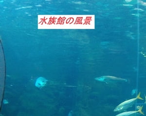 水族館の風景