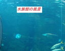 水族館の風景【電子書籍】[ 徒然人 