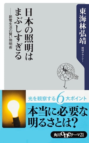 日本の照明はまぶしすぎる　──節電生活の賢い照明術