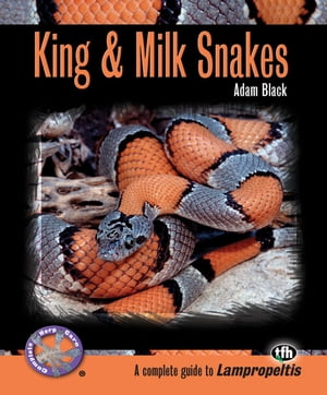 King & Milk Snakes (Complete Herp Care)