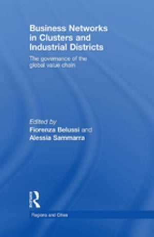 Business Networks in Clusters and Industrial Districts