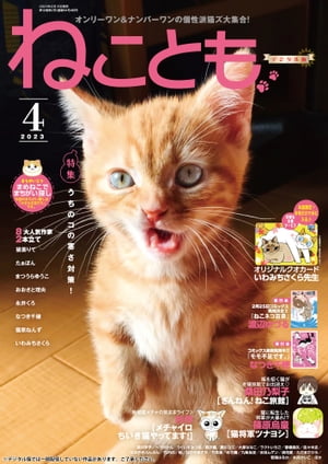 ねこともvol.84