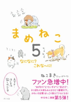 まめねこ５　なになに？　これな〜に！