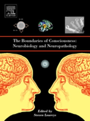 The Boundaries of Consciousness: Neurobiology and Neuropathology