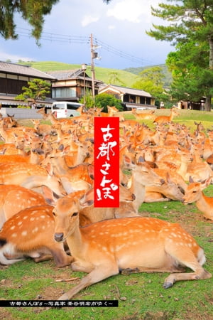 古都さんぽ8 〜写真家 茶谷明宏がゆく〜