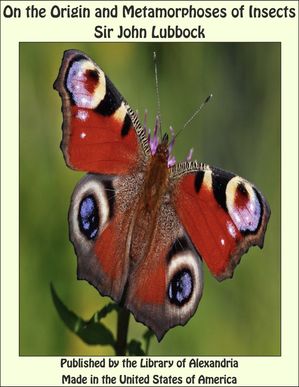 On the Origin and Metamorphoses of Insects【電子書籍】[ Sir John Lubbock ]