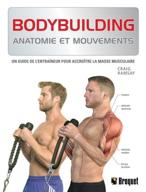 Bodybuilding Anatomie et mouvements