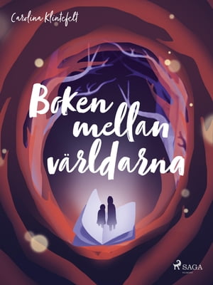 Boken mellan världarna