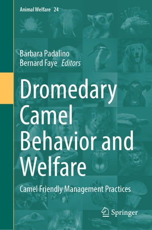 Dromedary Camel Behavior and Welfare