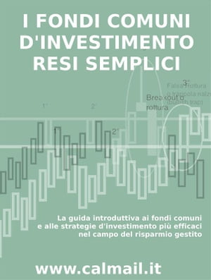 I FONDI COMUNI D’INVESTIMENTO RESI SEMPLICI. La guida introduttiva ai fondi comuni e alle strategie d'investimento più efficaci nel campo del risparmio gestito.