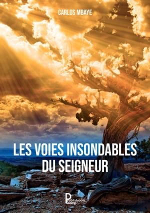 Les voies insondables du Seigneur【電子書籍