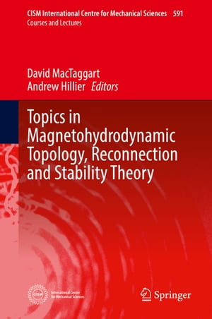 Topics in Magnetohydrodynamic Topology, Reconnection and Stability Theory【電子書籍】