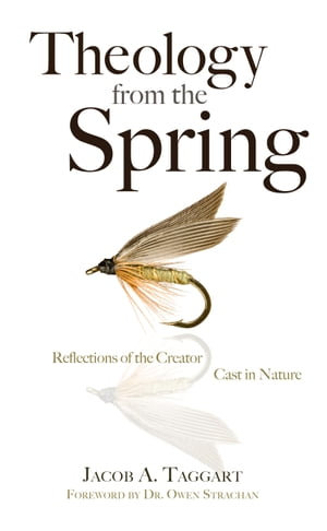 Theology from the Spring Reflections of the Creator Cast in Nature