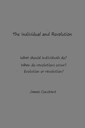 The Individual And Revolution