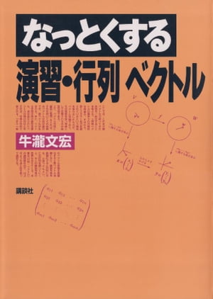 なっとくする演習・行列　ベクトル