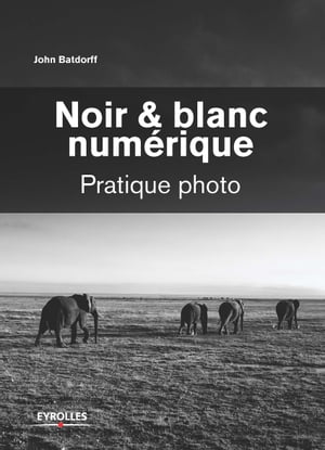 Noir et blanc numérique