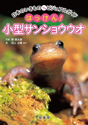 日本のいきものビジュアルガイド　はっけん！　小型サンショウウオ【電子書籍】[ 関慎太郎 ]