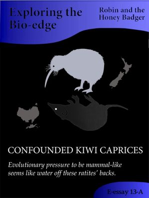 Confounded Kiwi CapricesŻҽҡ[ Robin and the Honey Badger ]