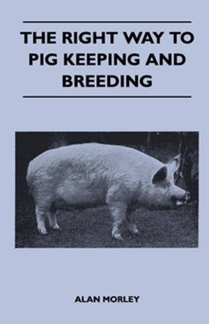 The Right Way to Pig Keeping and Breeding