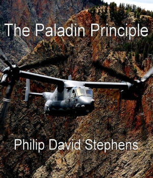 The Paladin Principle
